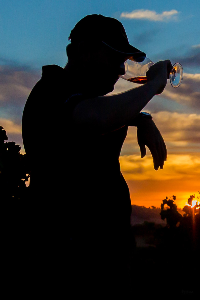 drinking wine alentejo