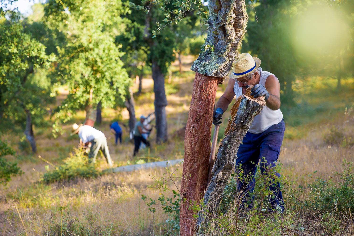 working farm alentejo